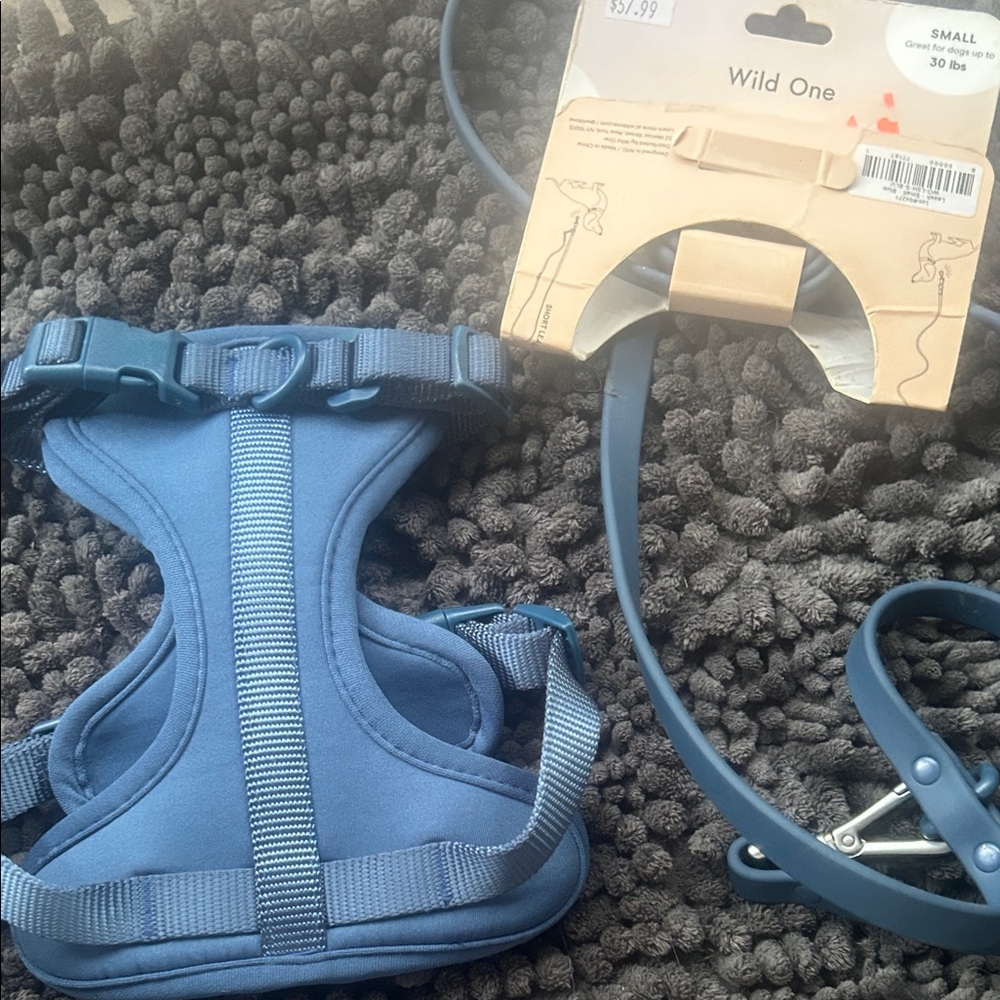 Blue Dog Harness & Leash Set - Wild One xs harness.